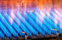 Higher Hogshead gas fired boilers